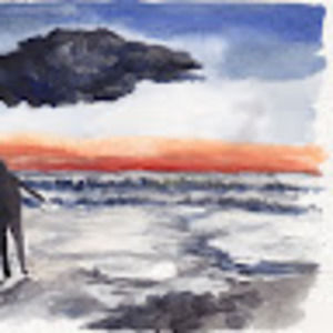 Meet your Posher, Van